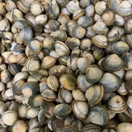 Apartment Apto Cortegada Vilagarcia de Arousa