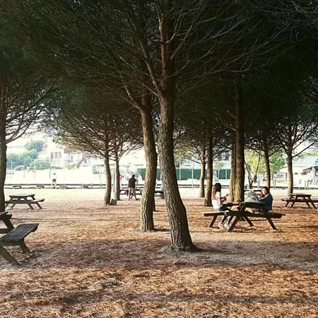 Apto Cortegada Vilagarcia de Arousa